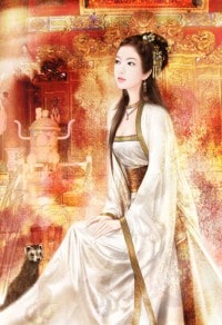 肆意仰望